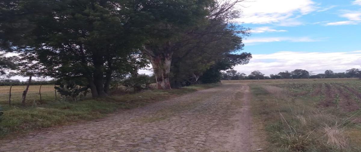 Foto de terreno habitacional en venta en don chepe, san miguel de allende, guanajuato , don chepe, san miguel de allende, guanajuato, 0 No. 05