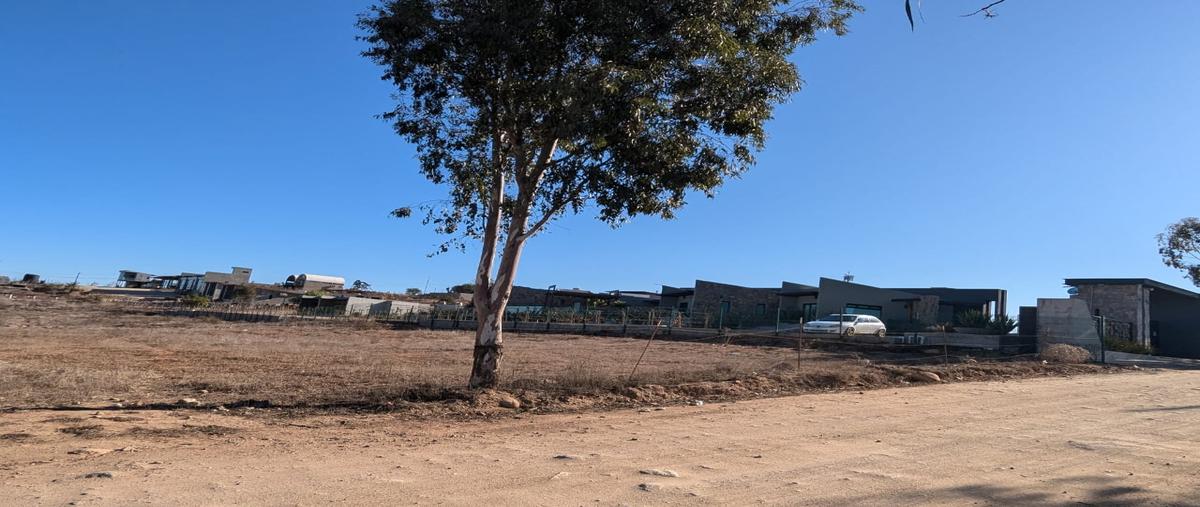 Foto de terreno habitacional en venta en don heraclio , el porvenir, ensenada, baja california, 29086351 No. 03