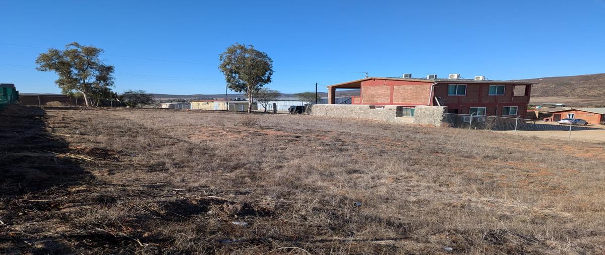 Foto de terreno habitacional en venta en don heraclio , el porvenir, ensenada, baja california, 29086351 No. 04
