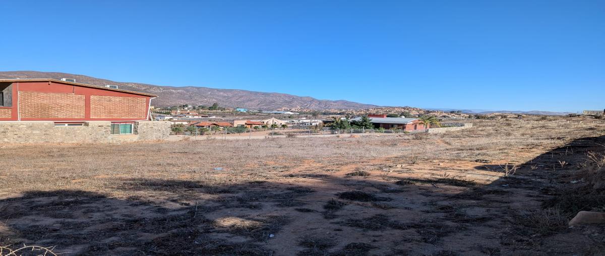 Foto de terreno habitacional en venta en don heraclio , el porvenir, ensenada, baja california, 29086351 No. 05