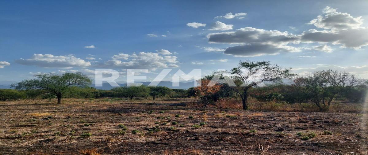Foto de terreno habitacional en venta en don juan quiñones. , san juan de los garza, cadereyta jiménez, nuevo león, 0 No. 04