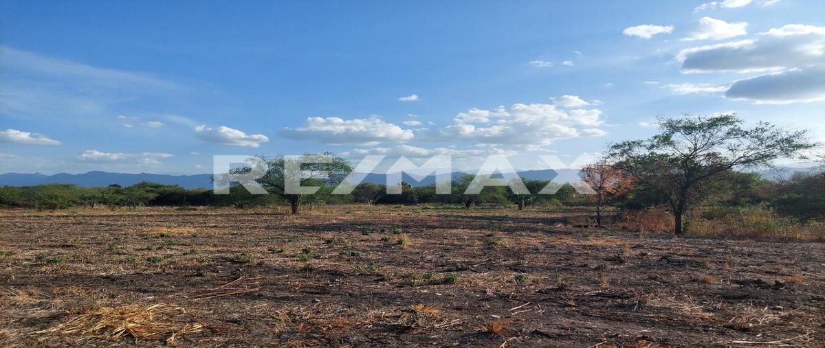 Foto de terreno habitacional en venta en don juan quiñones. , san juan de los garza, cadereyta jiménez, nuevo león, 0 No. 05