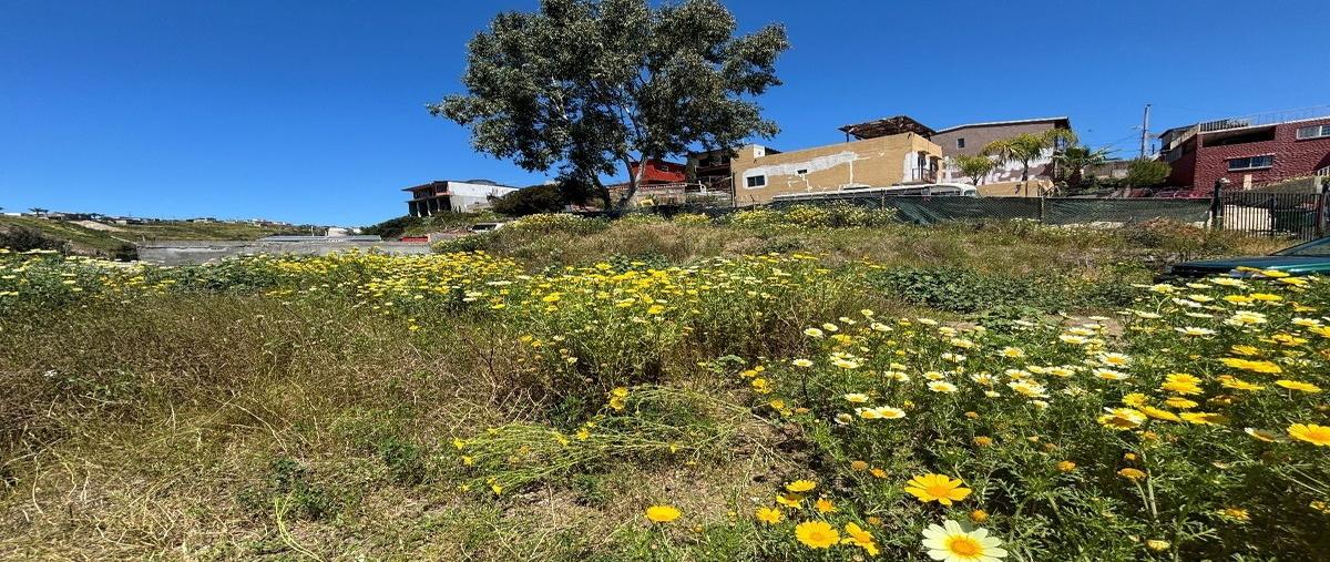 Foto de terreno habitacional en don ricardo , santa lucia, playas de rosarito, baja california, 27944231 foto 02 Foto de terreno habitacional en venta en don ricardo , santa lucia, playas de rosarito, baja california, 27944231 No. 02