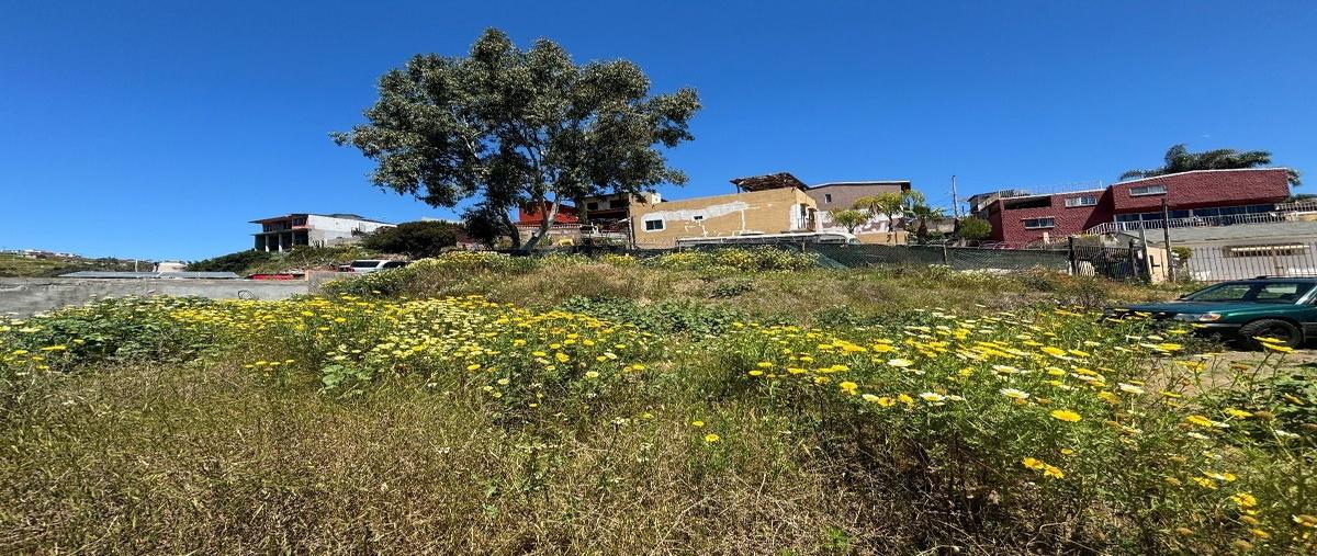 Foto de terreno habitacional en don ricardo , santa lucia, playas de rosarito, baja california, 27944231 foto 04 Foto de terreno habitacional en venta en don ricardo , santa lucia, playas de rosarito, baja california, 27944231 No. 04