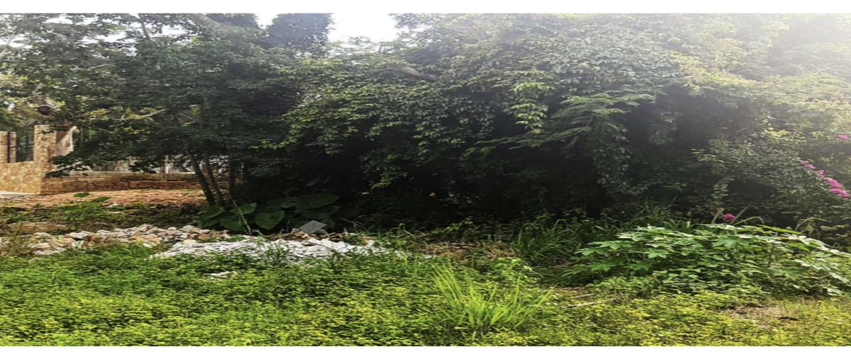 Foto de terreno habitacional en venta en  , don ventura, san fernando, chiapas, 25896152 No. 03