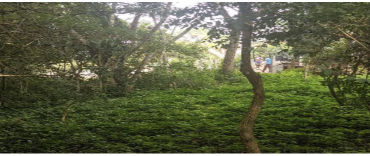 Foto de terreno habitacional en venta en  , don ventura, san fernando, chiapas, 25896152 No. 04