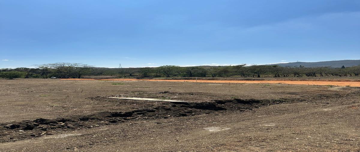 Foto de terreno habitacional en venta en  , don ventura, san fernando, chiapas, 0 No. 04