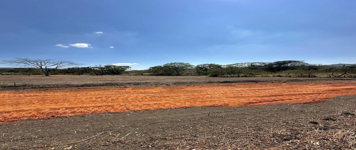 Foto de terreno habitacional en venta en  , don ventura, san fernando, chiapas, 0 No. 05