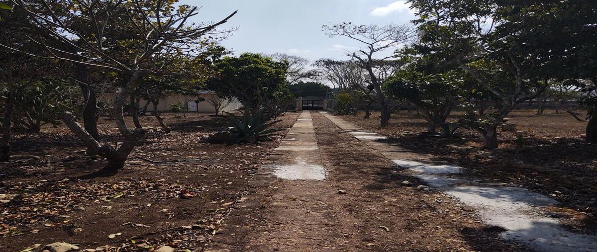 Foto de terreno habitacional en venta en don ventura , san miguel, berriozábal, chiapas, 0 No. 04