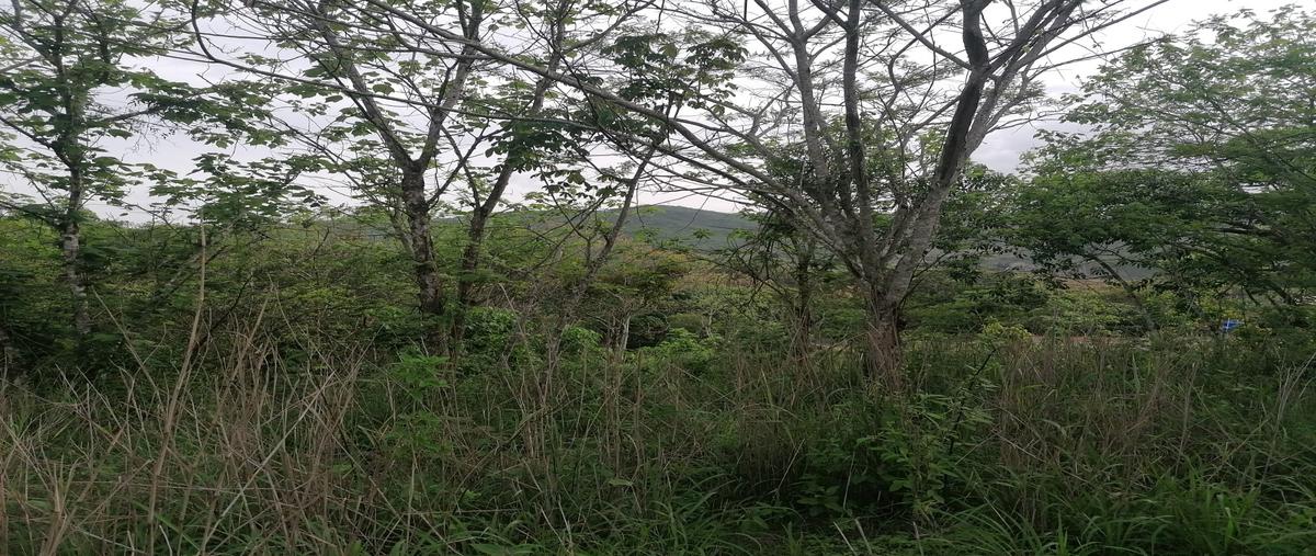 Foto de terreno habitacional en venta en don ventura , viva cárdenas, san fernando, chiapas, 28176441 No. 04