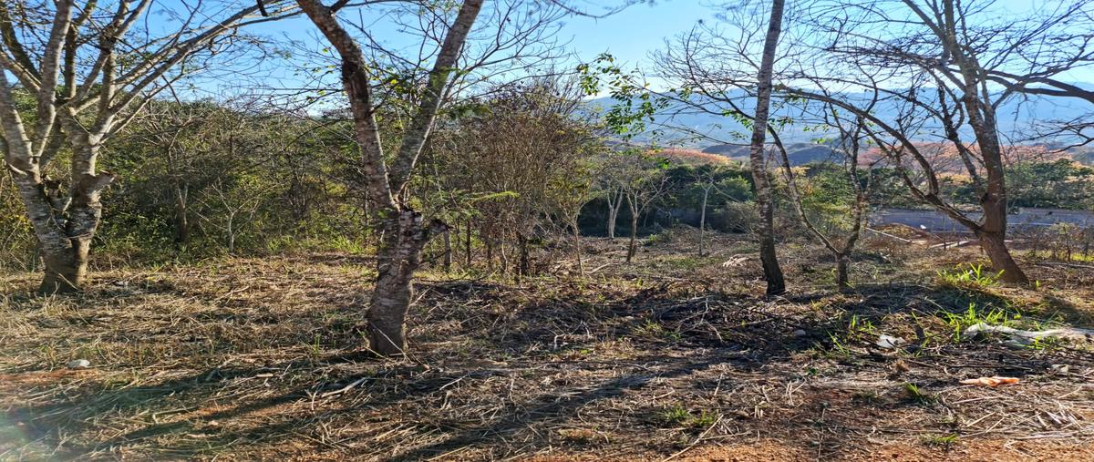 Foto de terreno habitacional en venta en don ventura , viva cárdenas, san fernando, chiapas, 28176441 No. 05