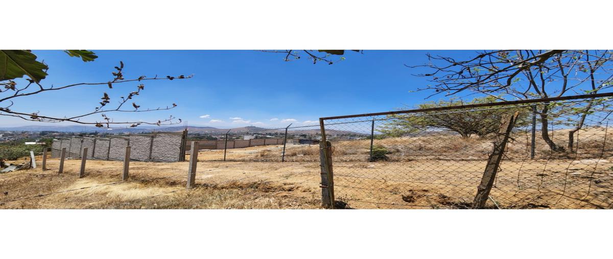 Foto de terreno habitacional en venta en  , donaji, oaxaca de juárez, oaxaca, 0 No. 03