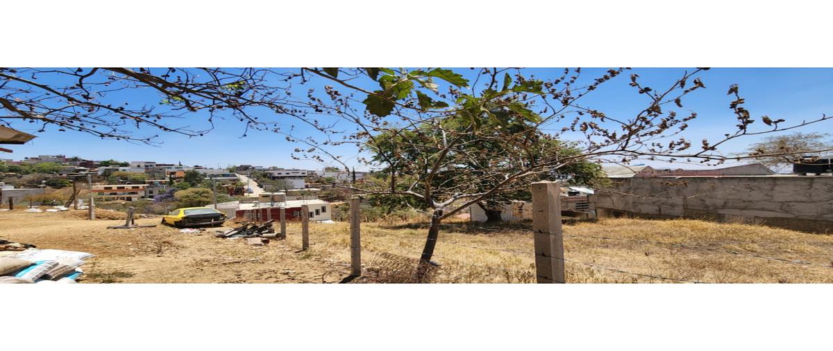 Foto de terreno habitacional en venta en  , donaji, oaxaca de juárez, oaxaca, 0 No. 04