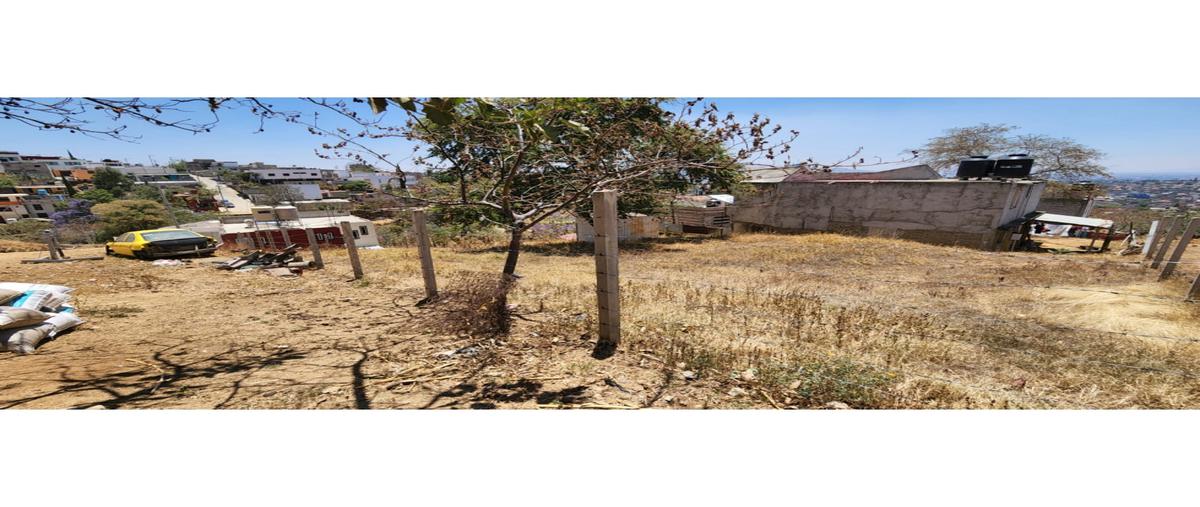 Foto de terreno habitacional en venta en  , donaji, oaxaca de juárez, oaxaca, 0 No. 05