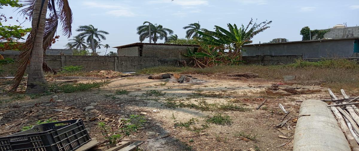 Foto de terreno comercial en renta en donato miranda fonseca , cayaco, acapulco de juárez, guerrero, 29758964 No. 03