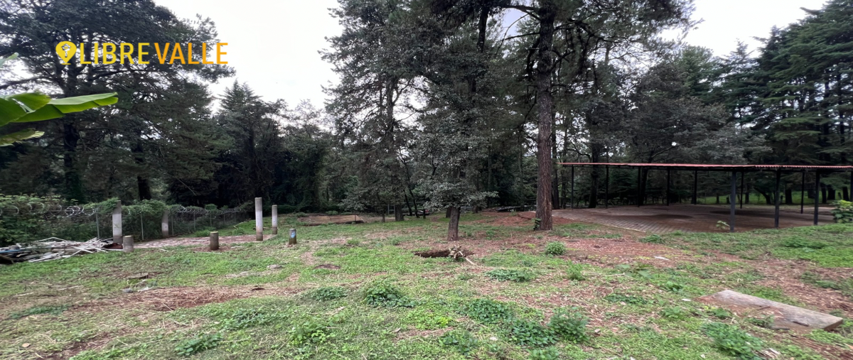 Foto de terreno habitacional en doromitzi , san nicolás tolentino, valle de bravo, méxico, 28417690 foto 04 Foto de terreno habitacional en renta en doromitzi , san nicolás tolentino, valle de bravo, méxico, 28417690 No. 04