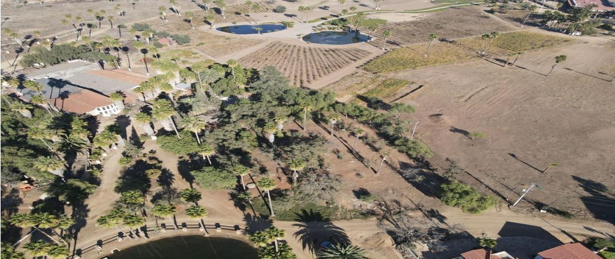 Foto de terreno habitacional en venta en  , dos cumbres, tecate, baja california, 23699082 No. 04