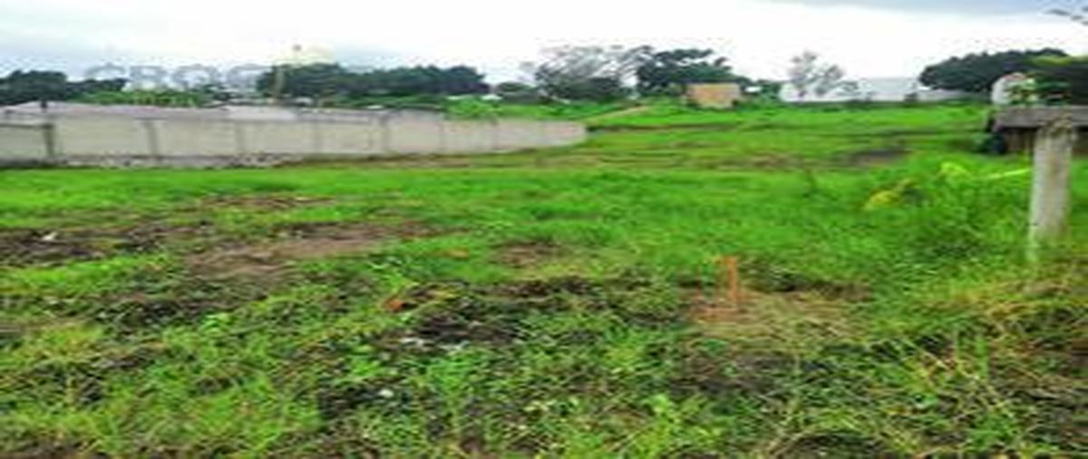 Foto de terreno habitacional en venta en  , dos ríos, emiliano zapata, veracruz de ignacio de la llave, 0 No. 04