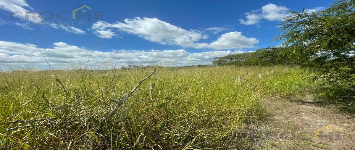 Foto de terreno habitacional en venta en  , dos ríos, emiliano zapata, veracruz de ignacio de la llave, 0 No. 04