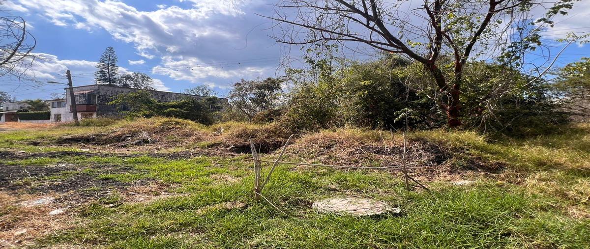 Foto de terreno habitacional en venta en  , dos ríos, emiliano zapata, veracruz de ignacio de la llave, 0 No. 03