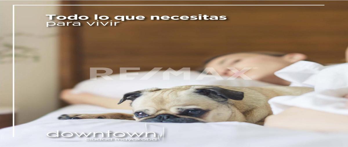 Foto de departamento en venta en downtown , la toscana, solidaridad, quintana roo, 0 No. 04