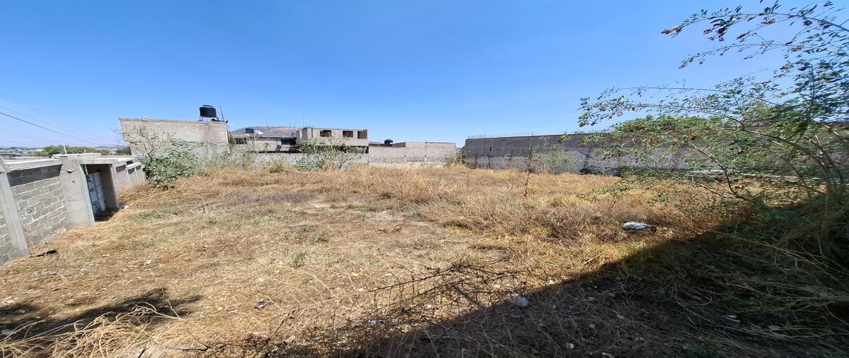 Foto de terreno habitacional en , dr. jorge jiménez cantú, la paz, méxico, 29746433 foto 05 Foto de terreno habitacional en venta en , dr. jorge jiménez cantú, la paz, méxico, 29746433 No. 05