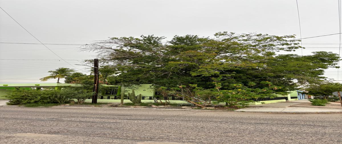 Foto de casa en venta en durango , pueblo nuevo, la paz, baja california sur, 30346167 No. 03
