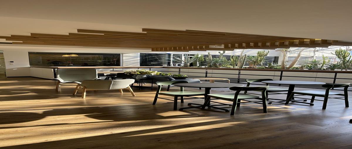 Foto de oficina en renta en duraznos 61 , bosque de las lomas, miguel hidalgo, df / cdmx, 0 No. 03