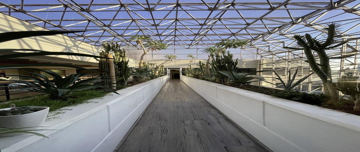 Foto de oficina en renta en duraznos 61 , bosque de las lomas, miguel hidalgo, df / cdmx, 0 No. 05