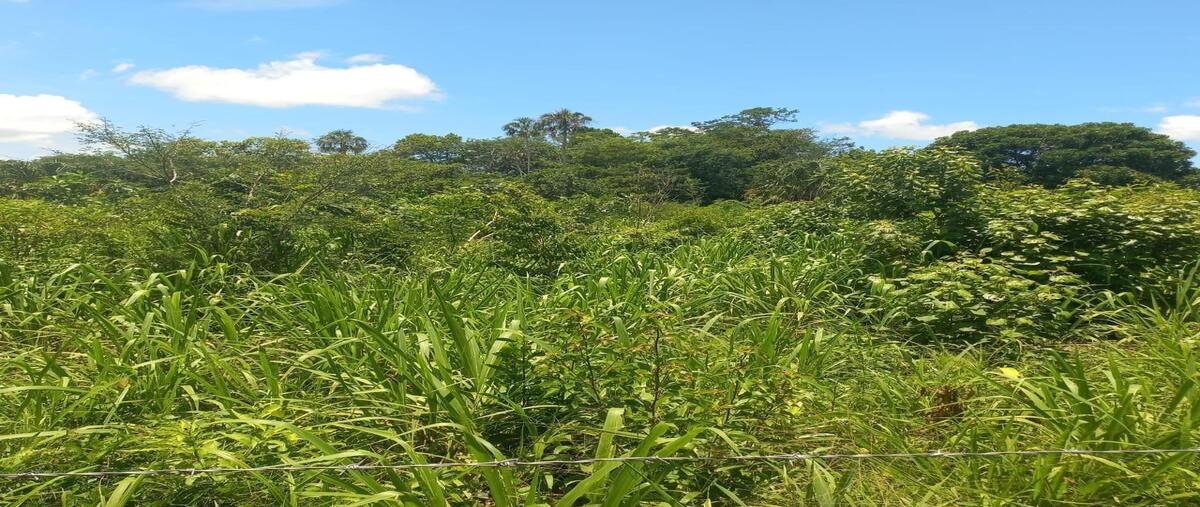 Foto de terreno habitacional en venta en  , dzacabuchen, champotón, campeche, 0 No. 05