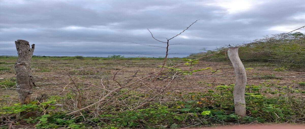 Foto de terreno habitacional en venta en  , dzan, dzán, yucatán, 0 No. 04