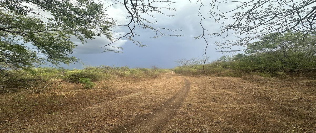 Foto de terreno habitacional en venta en dzemul , dzemul, dzemul, yucatán, 30357468 No. 04