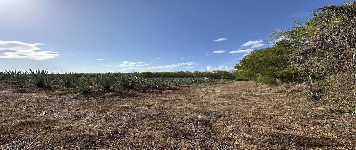 Foto de terreno habitacional en venta en dzemul , dzemul, dzemul, yucatán, 30357468 No. 05