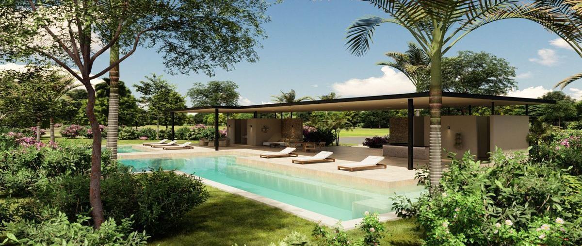 Foto de terreno habitacional en , dzemul, dzemul, yucatán, 27372058 foto 04 Foto de terreno habitacional en venta en , dzemul, dzemul, yucatán, 27372058 No. 04