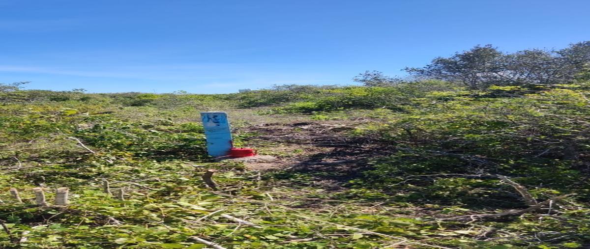 Foto de casa en venta en  , dzemul, dzemul, yucatán, 28386780 No. 04