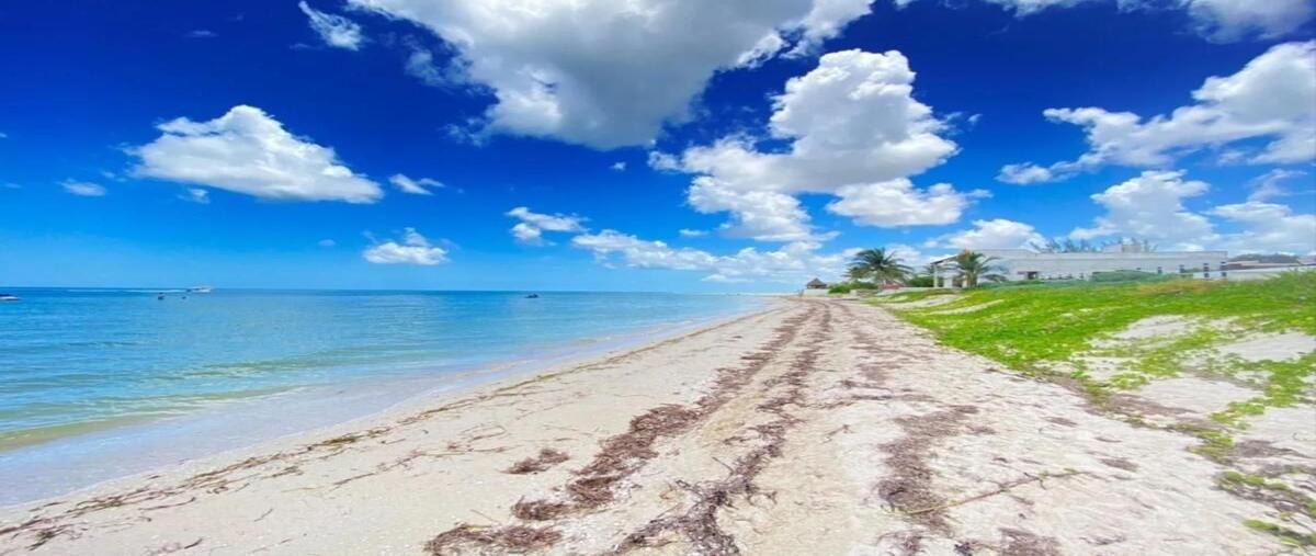 Foto de terreno habitacional en , dzemul, dzemul, yucatán, 30136707 foto 01 Foto de terreno habitacional en venta en , dzemul, dzemul, yucatán, 30136707 No. 01