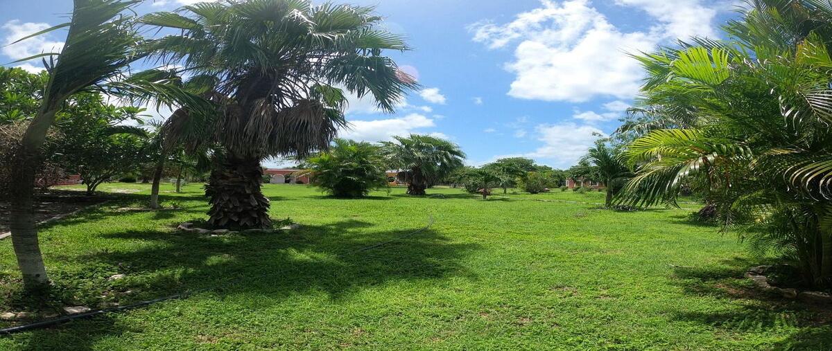 Foto de terreno habitacional en , dzemul, dzemul, yucatán, 0 foto 01 Foto de terreno habitacional en venta en , dzemul, dzemul, yucatán, 0 No. 01