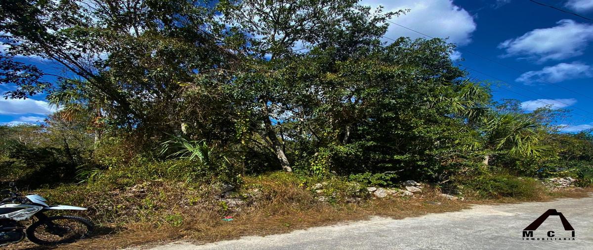 Foto de terreno habitacional en venta en  , dzemul, dzemul, yucatán, 0 No. 05