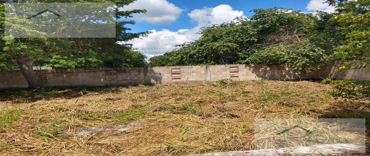Foto de casa en , dzemul, dzemul, yucatán, 0 foto 05 Foto de casa en venta en , dzemul, dzemul, yucatán, 0 No. 05