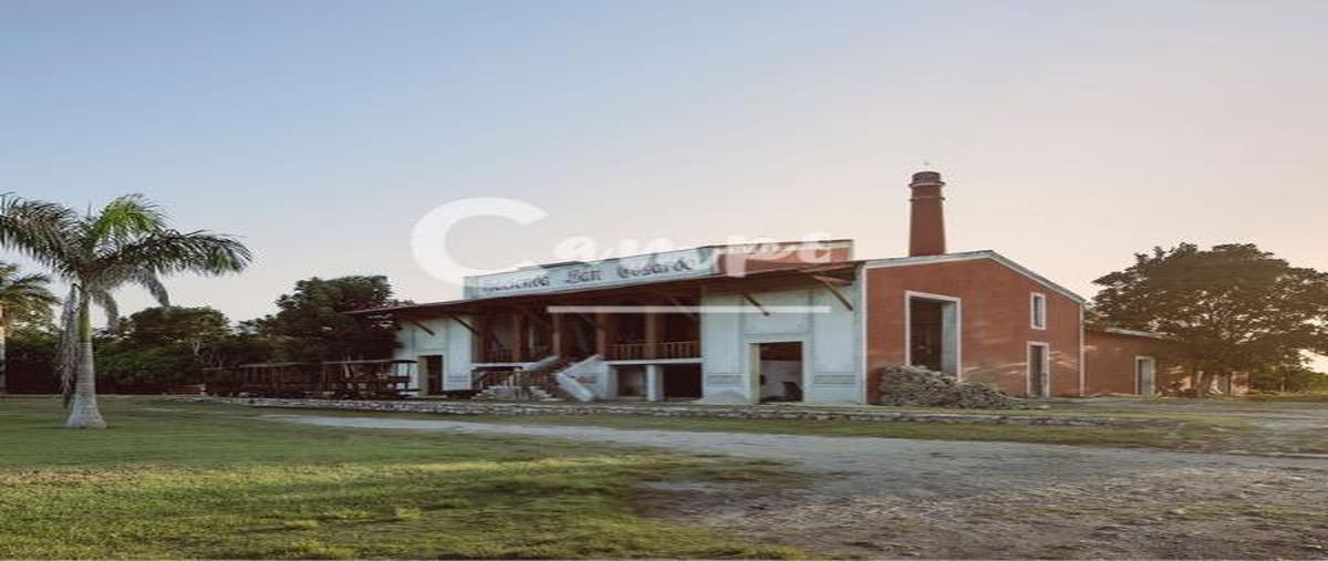 Foto de terreno habitacional en venta en  , dzemul, dzemul, yucatán, 0 No. 03