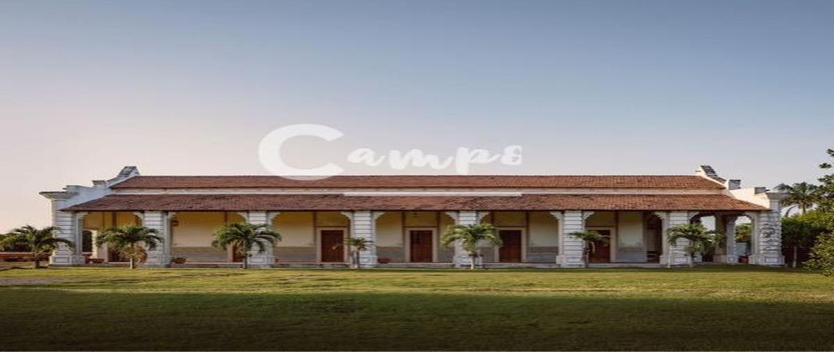 Foto de terreno habitacional en venta en  , dzemul, dzemul, yucatán, 0 No. 04