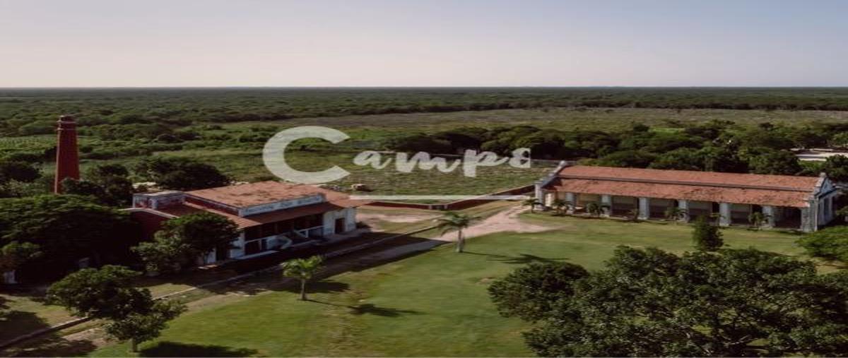 Foto de terreno habitacional en venta en  , dzemul, dzemul, yucatán, 0 No. 05
