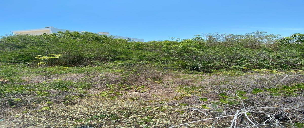 Foto de terreno habitacional en venta en  , dzemul, dzemul, yucatán, 31343813 No. 03