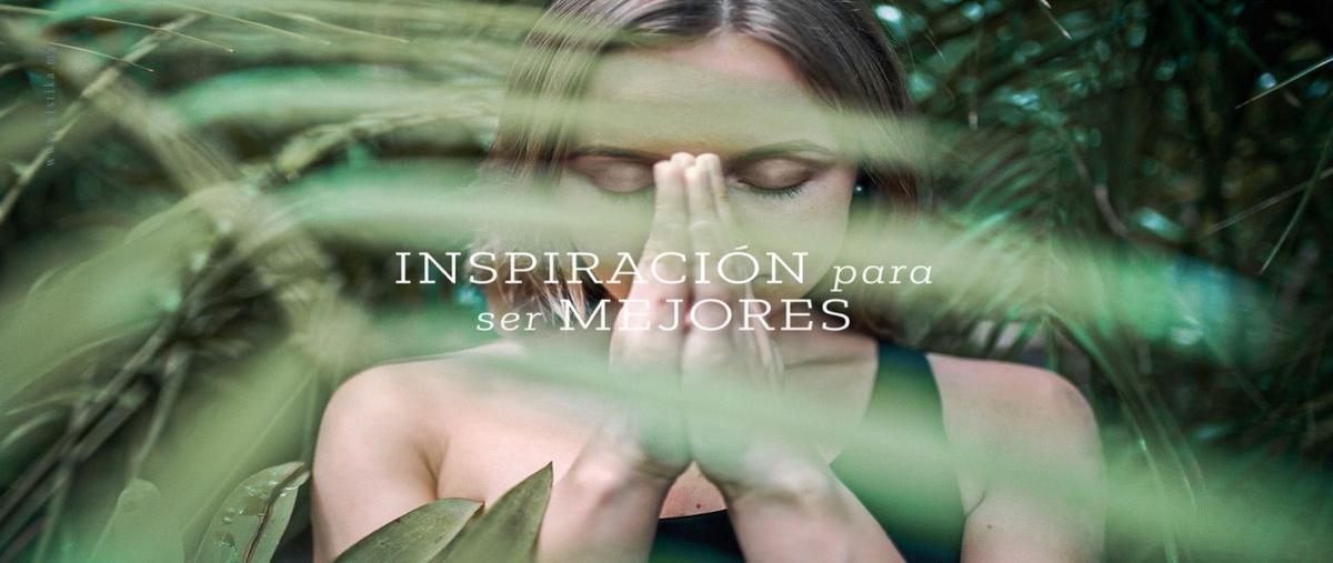 Foto de terreno habitacional en venta en dzibilchaltún , dzibilchaltún, mérida, yucatán, 18841027 No. 05