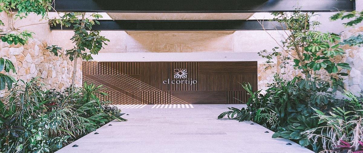 Foto de terreno habitacional en venta en dzibilchaltún , dzibilchaltún, mérida, yucatán, 30907011 No. 07