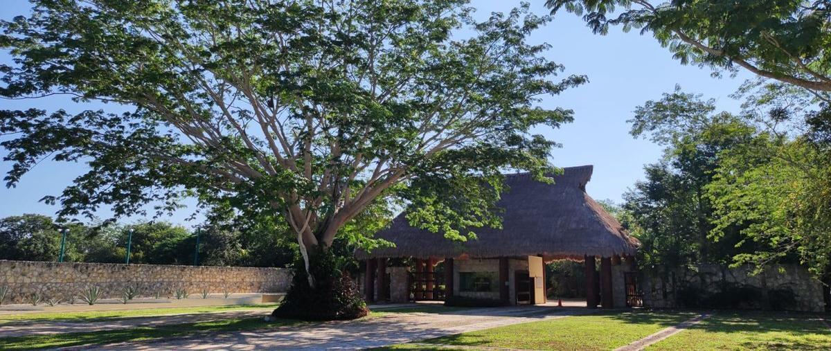 Foto de terreno habitacional en venta en . , dzibilchaltún, mérida, yucatán, 24316930 No. 03