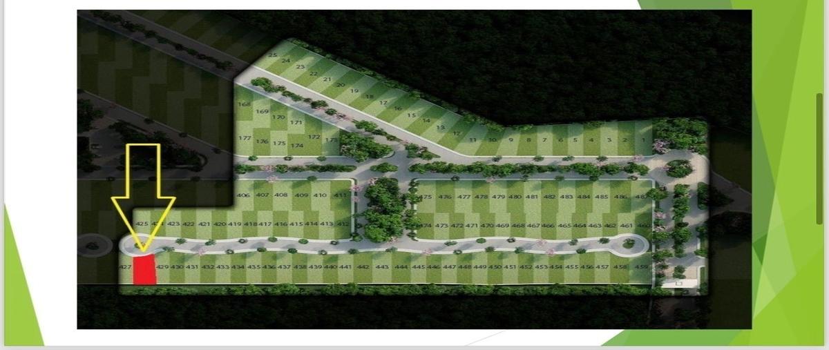 Foto de terreno habitacional en , dzibilchaltún, mérida, yucatán, 27902972 foto 02 Foto de terreno habitacional en venta en , dzibilchaltún, mérida, yucatán, 27902972 No. 02