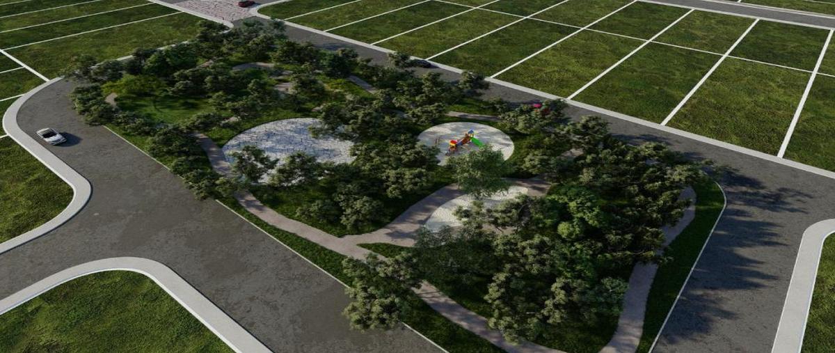 Foto de terreno habitacional en venta en  , dzibilchaltún, mérida, yucatán, 0 No. 05