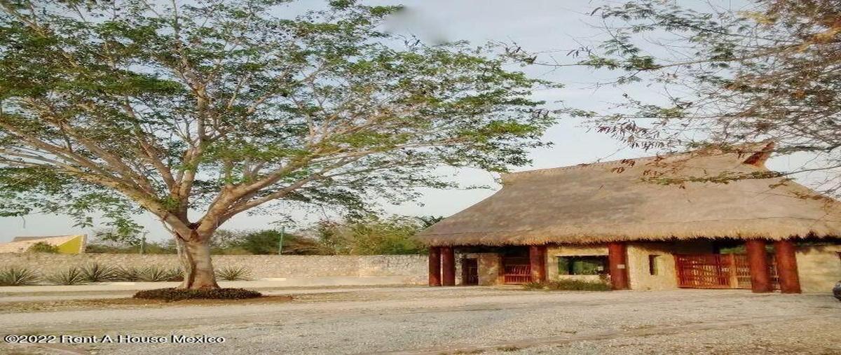 Foto de terreno habitacional en venta en  , dzibilchaltún, mérida, yucatán, 0 No. 05