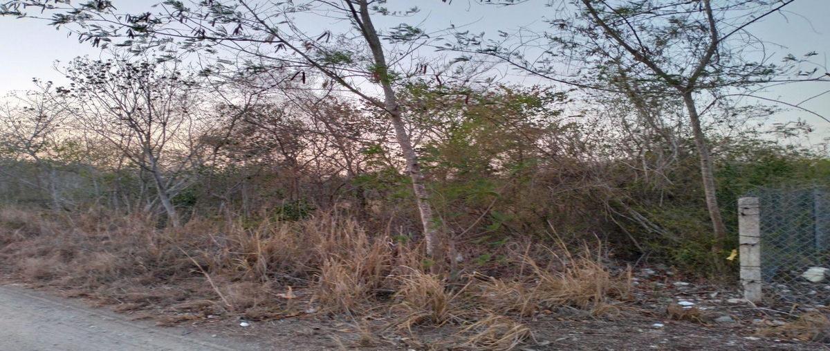 Foto de terreno habitacional en venta en  , dzibilchaltún, mérida, yucatán, 0 No. 04